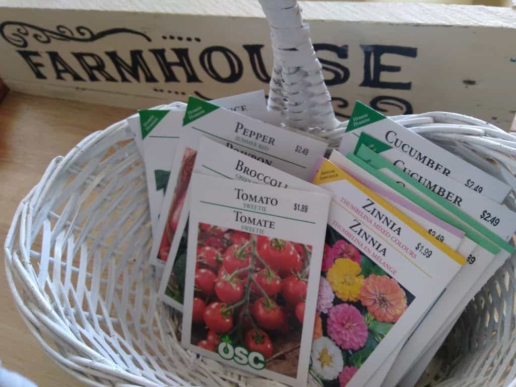 Gardening Season for a Newbie.