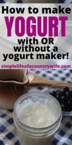 how to make yogurt