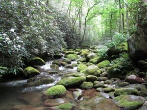 Smoky Mountains National Park Vacation