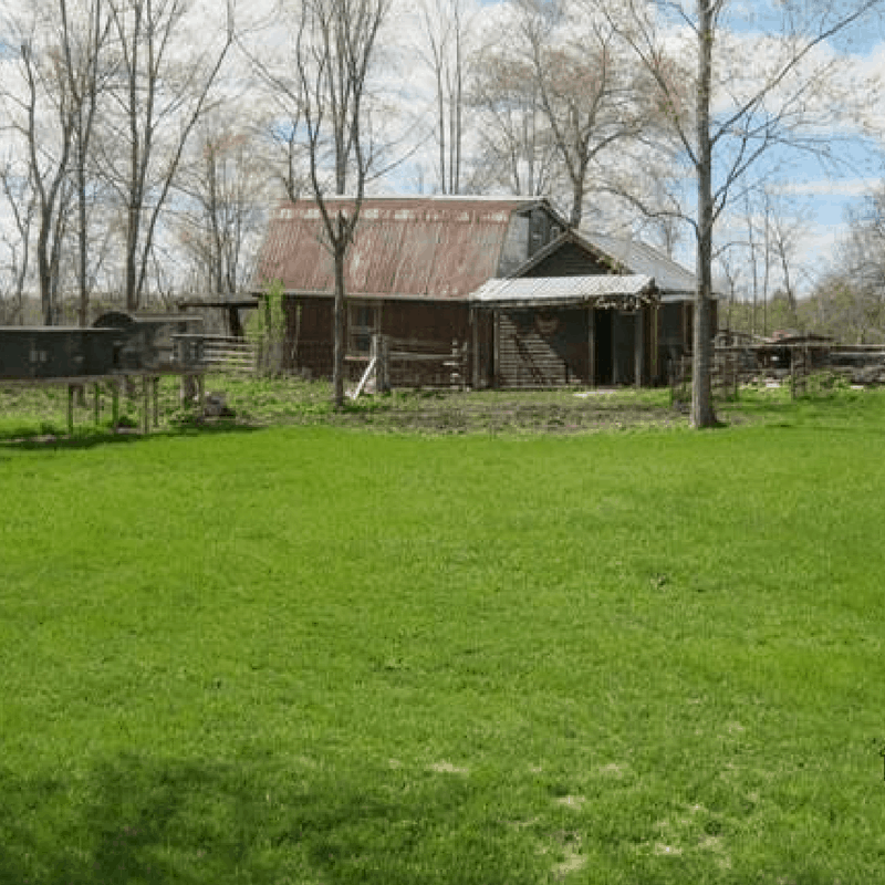 make money homesteading