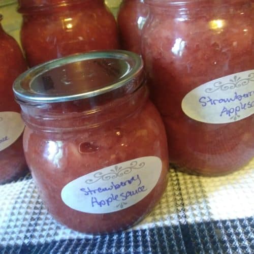 homemade chunky applesauce
