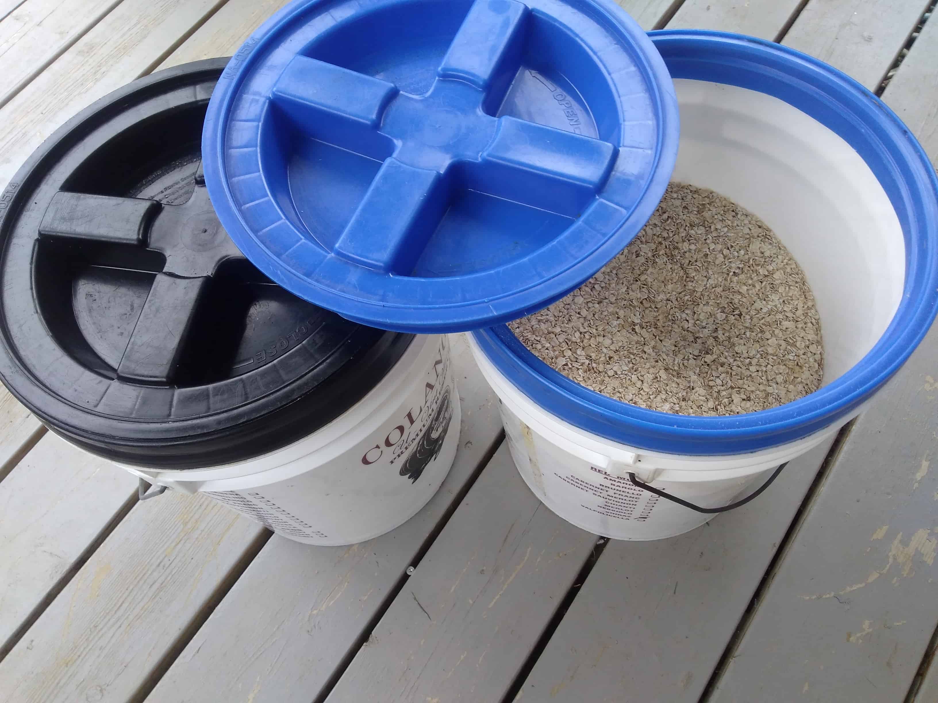 what to buy in bulk