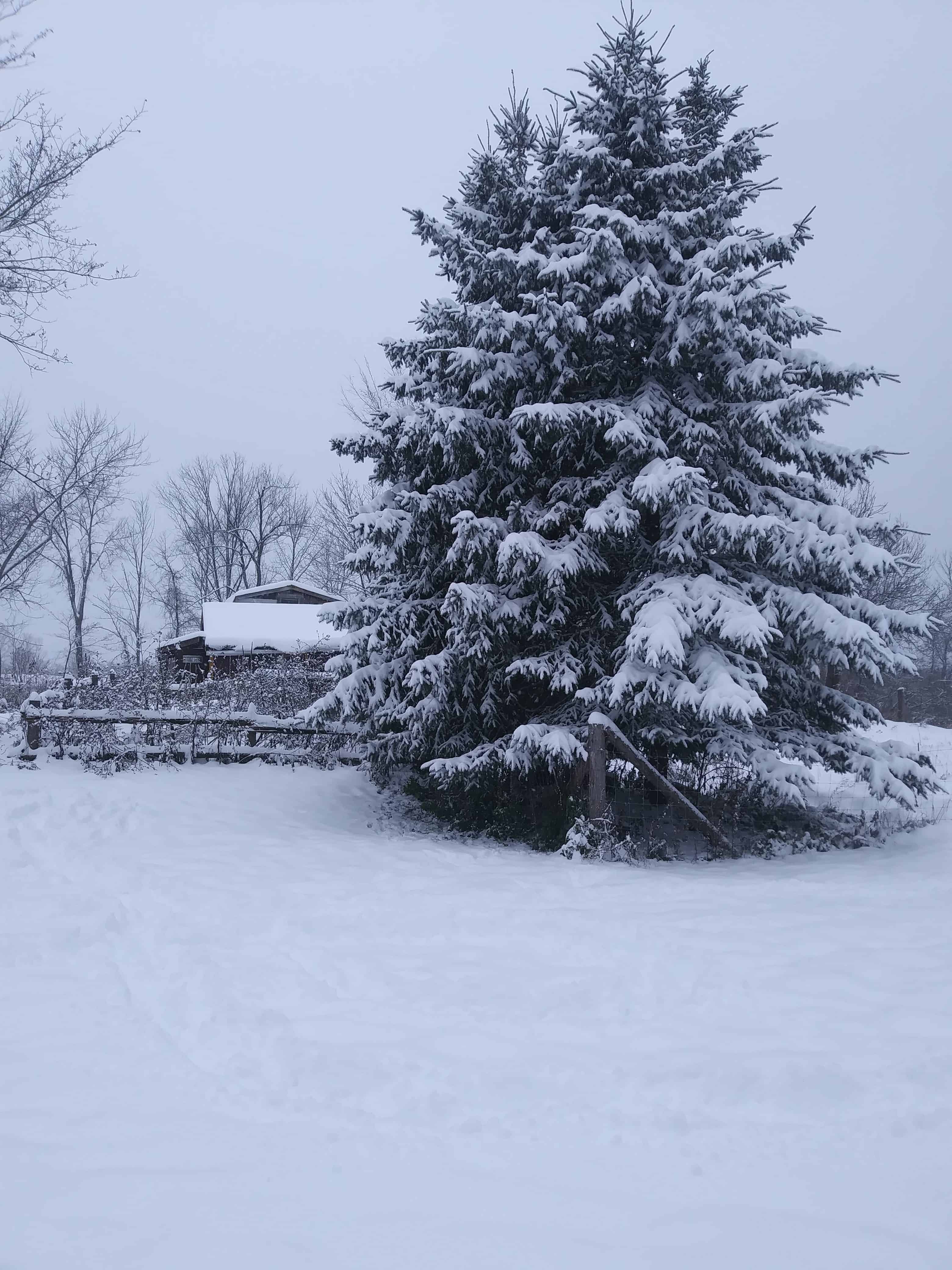 Preparing for Winter – What you Need to Know