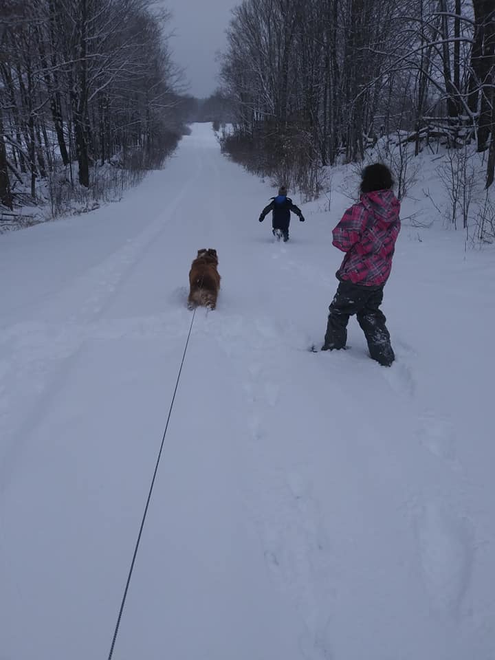 things to do in winter