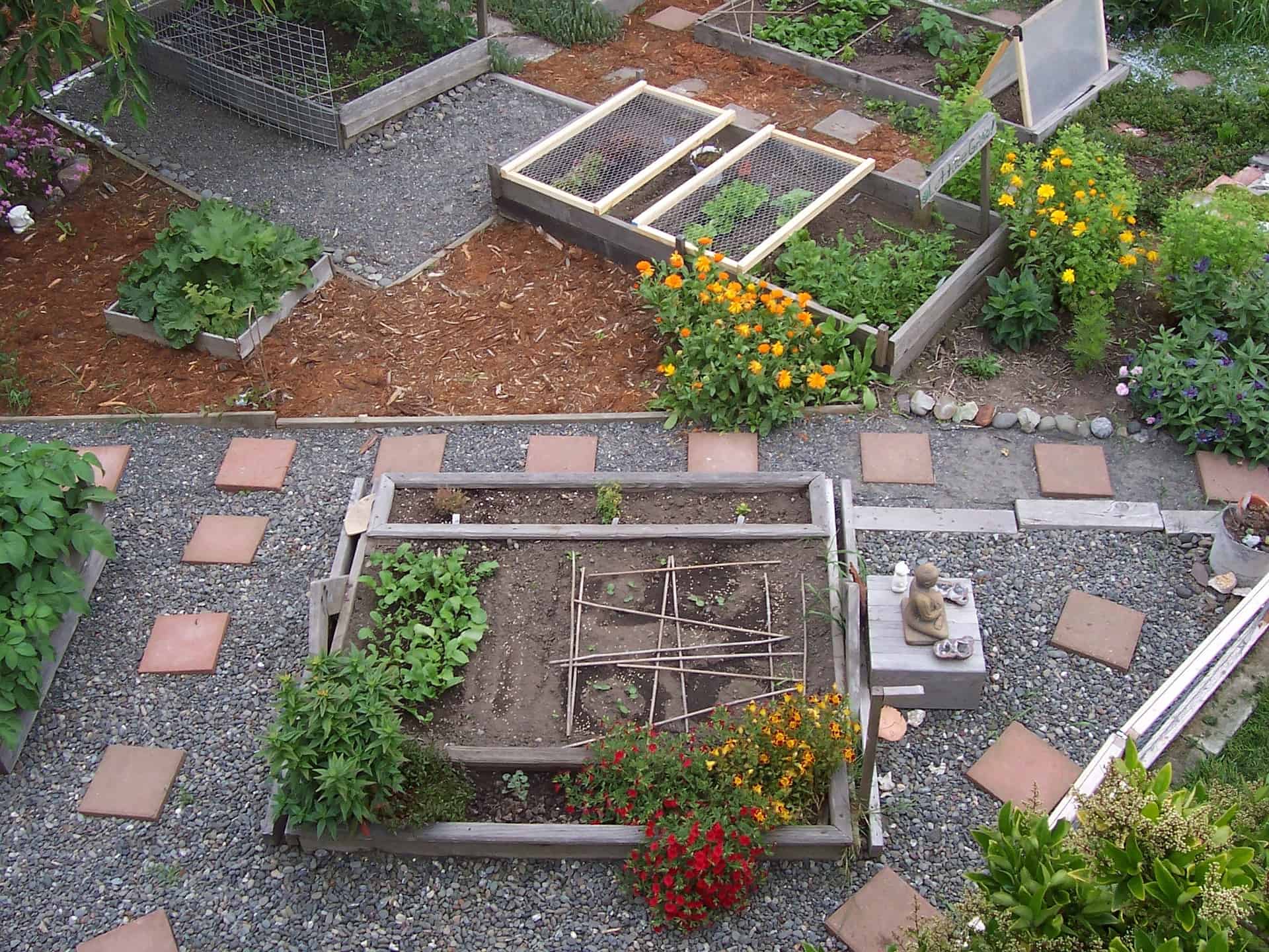 How to Homestead in the City