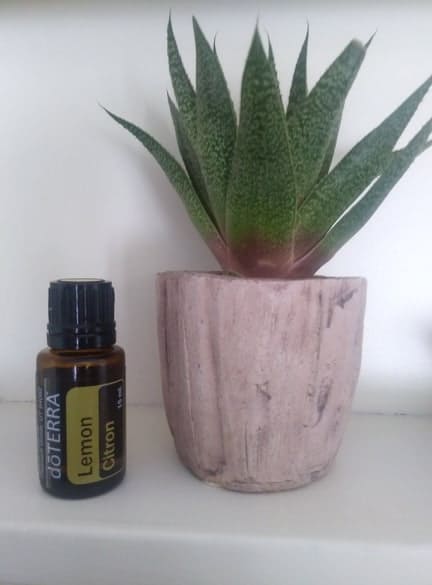 Lemon Essential Oil Benefits