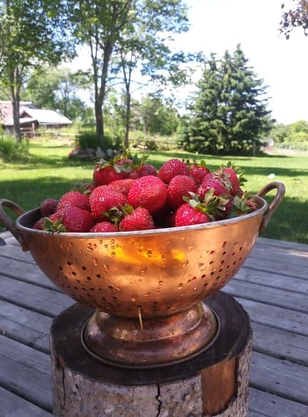 make freezer jam with strawberries