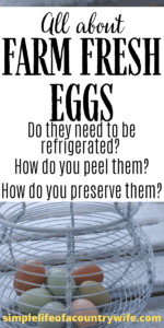 farm fresh eggs