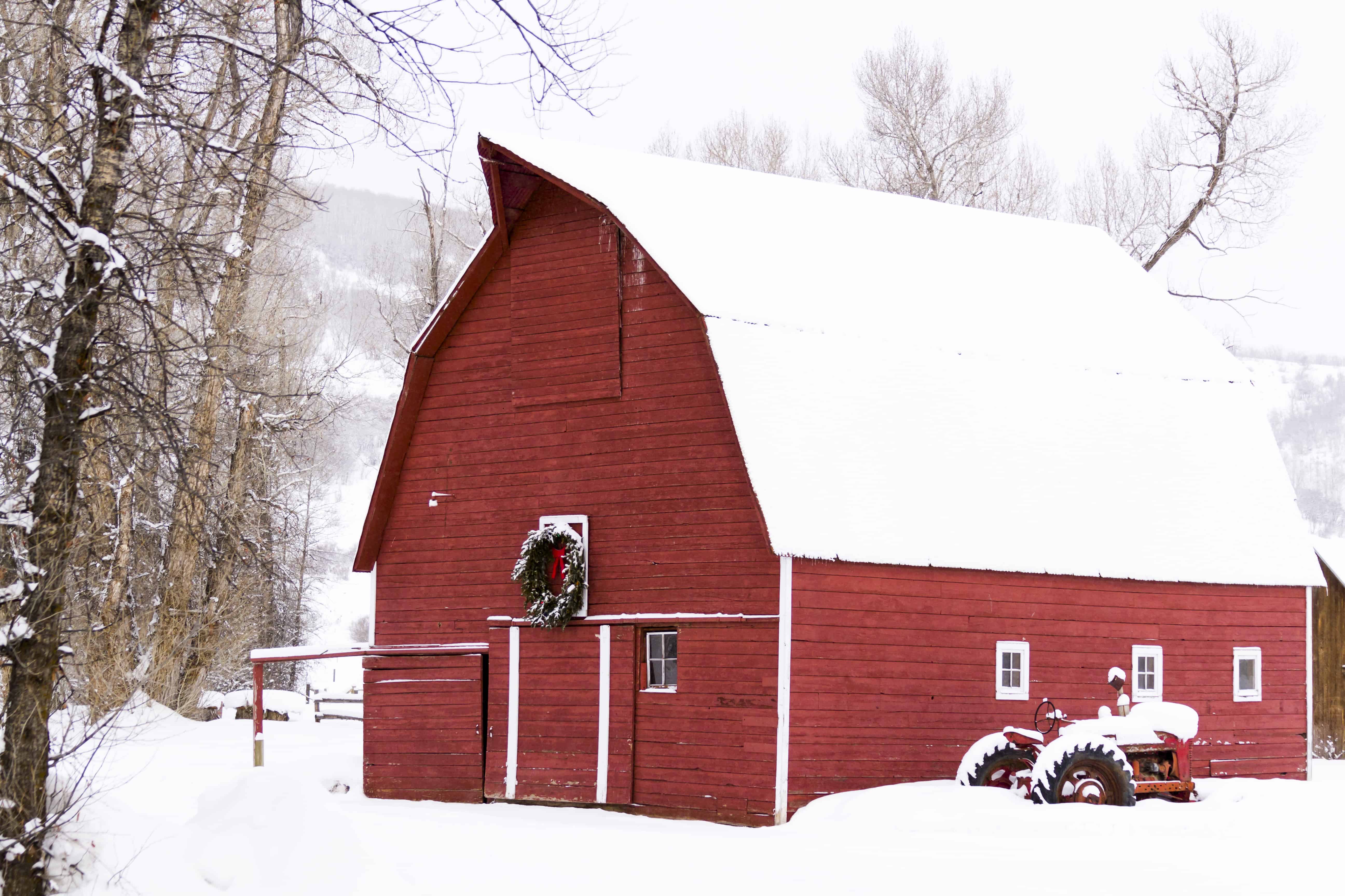 Awesome Christmas Gifts for Homesteaders