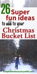 christmas bucket list