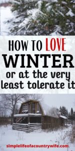 love winter