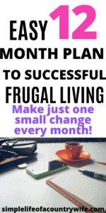 12 months of frugal living