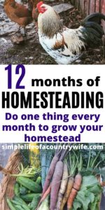 12 months of homesteading