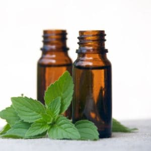 essential oils for bug bites