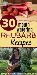 rhubarb recipes