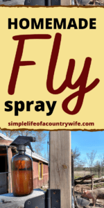 how to make homemade fly spray
