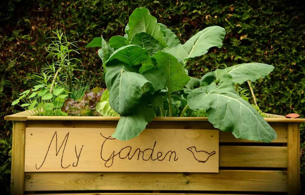 Make your own raised garden beds