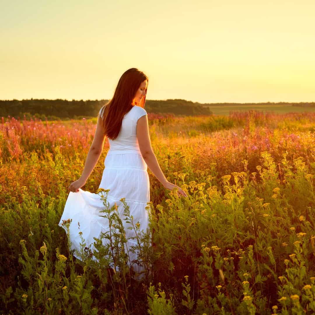 All about the countryside