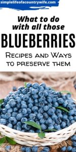 what to make with blueberries