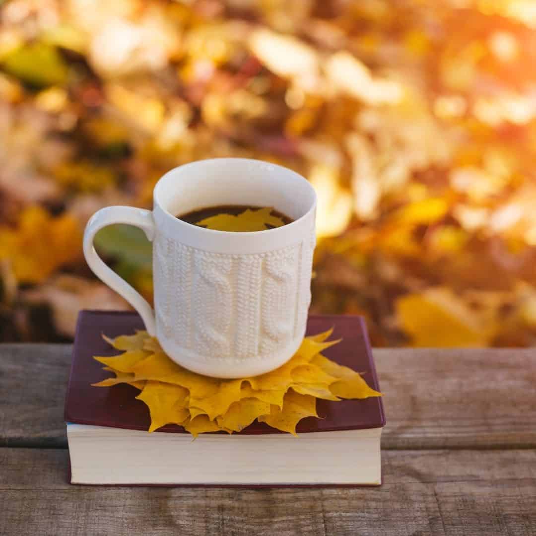 things to do in the fall