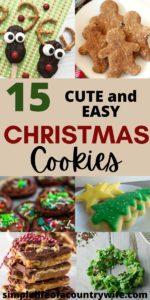 cute easy christmas cookies