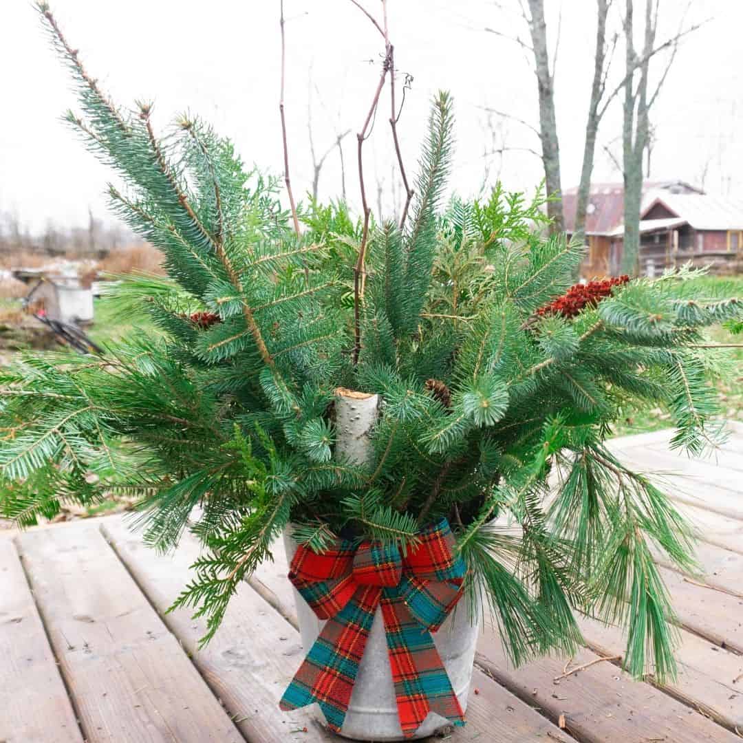 decorate outside planters for Christmas