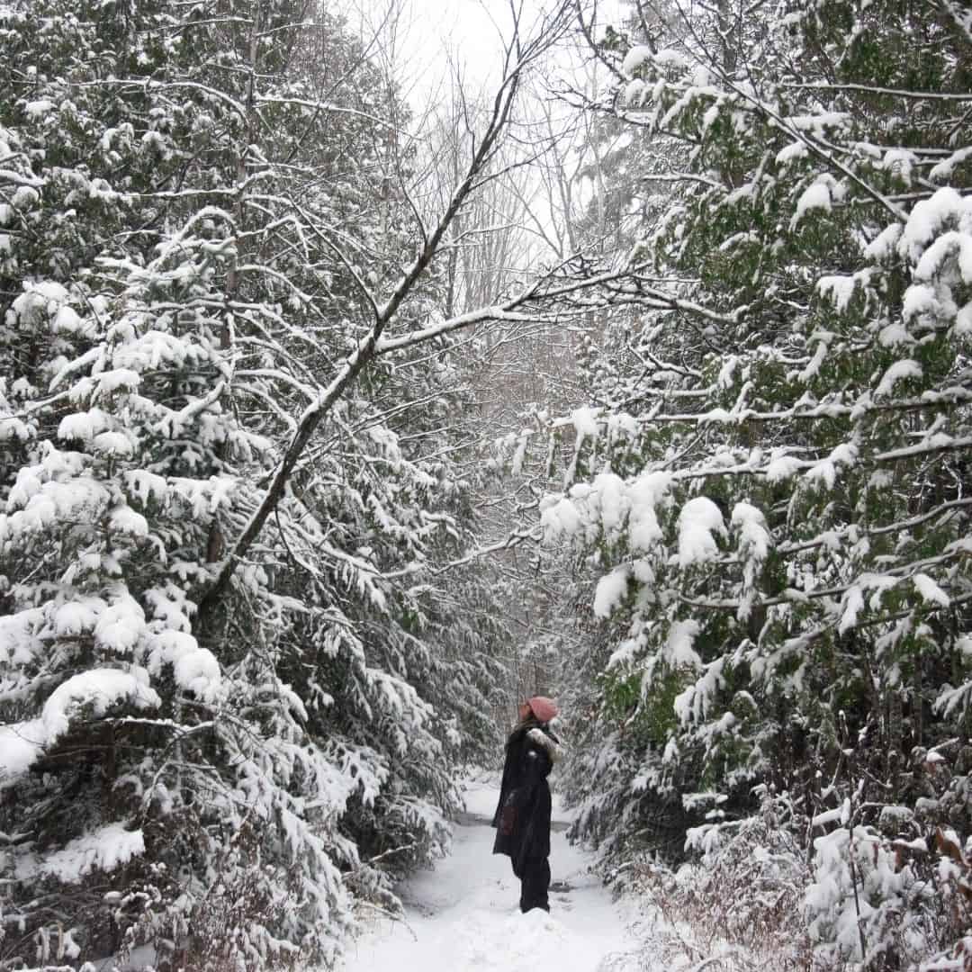 Fun things to do in winter