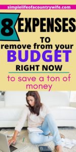 expenses to remove from your budget