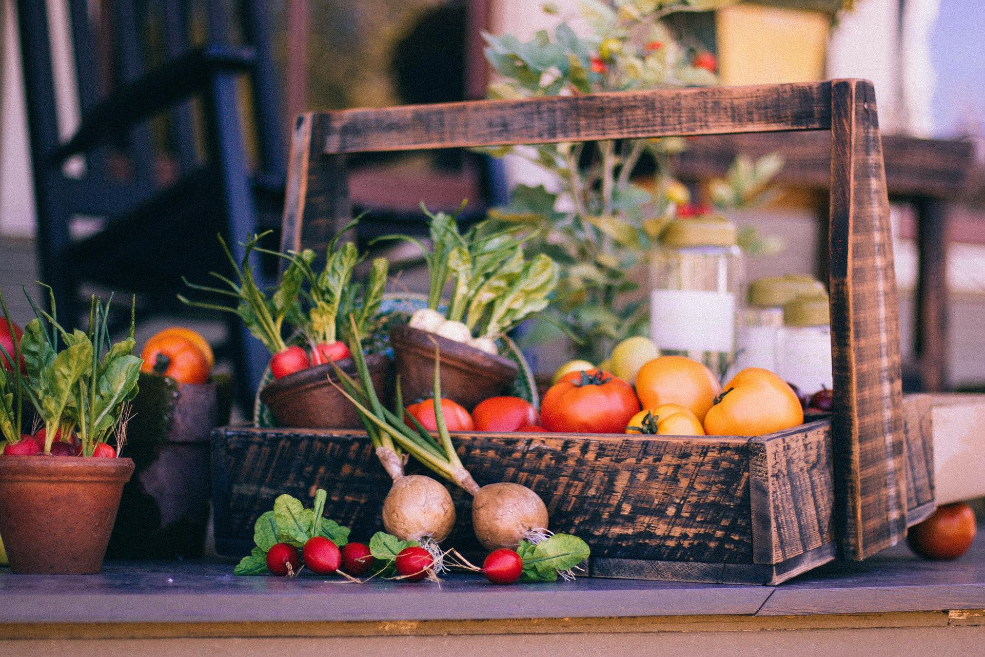 Urban Homesteading for Beginners