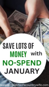 No Spend Month