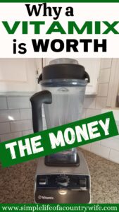 Vitamix blender benefits