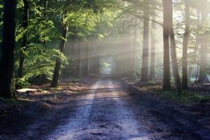 advantages of rural life