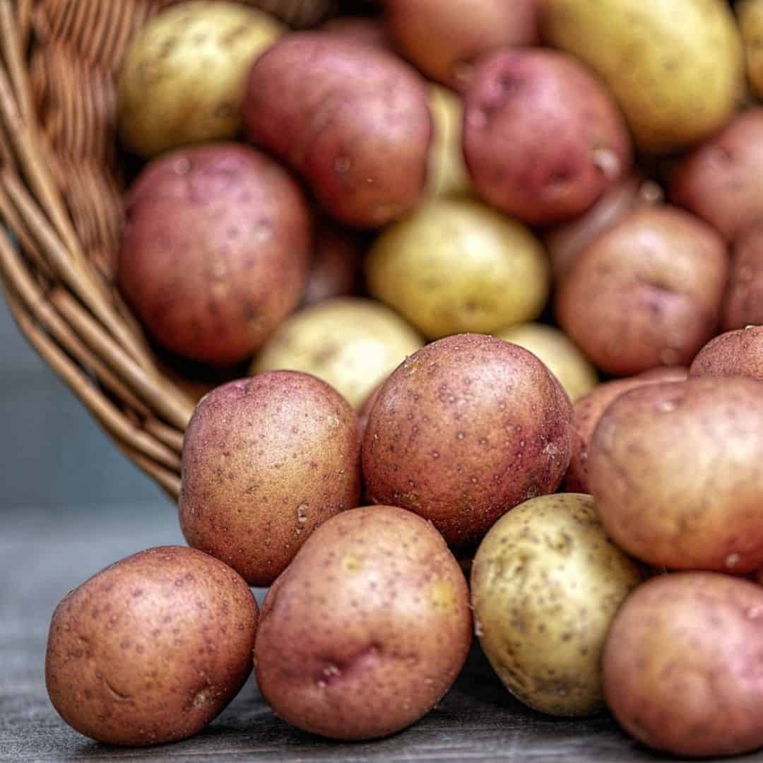 What to do with too many potatoes
