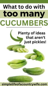 What to do with too many cucumbers