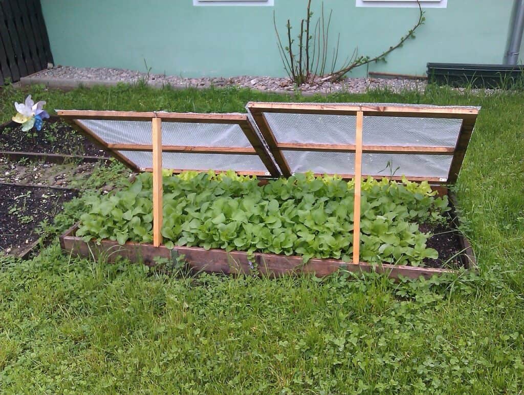 Cold frame to extend the garden season