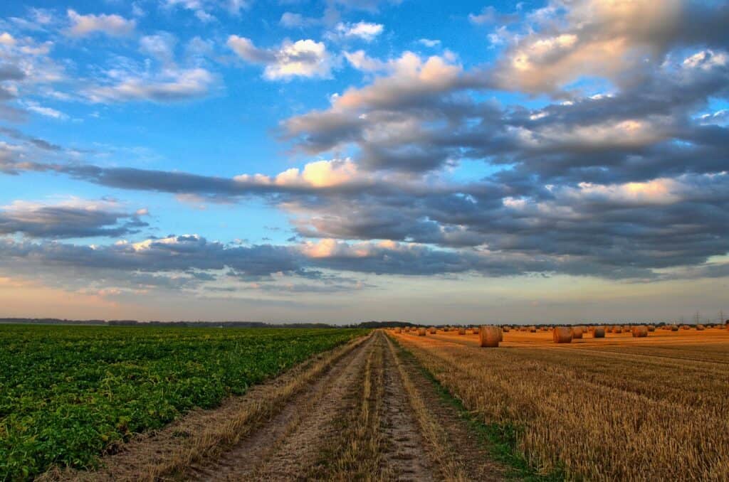 farm land for your homestead