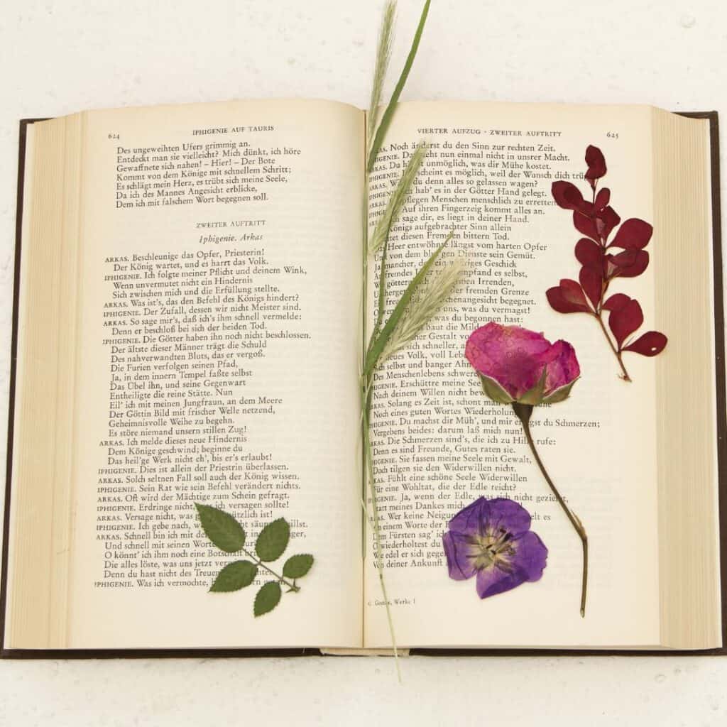 Pressing flowers in a book