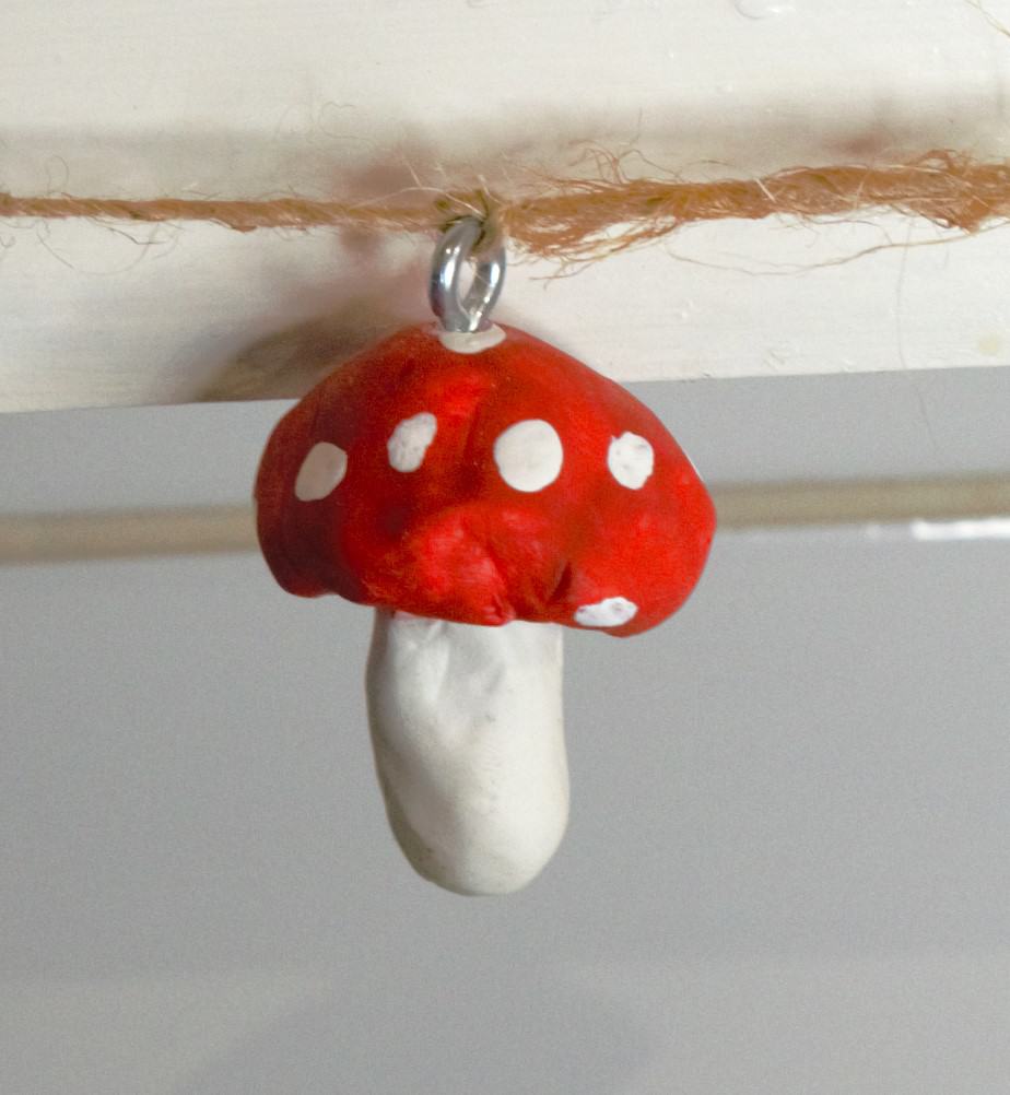toadstool mushroom