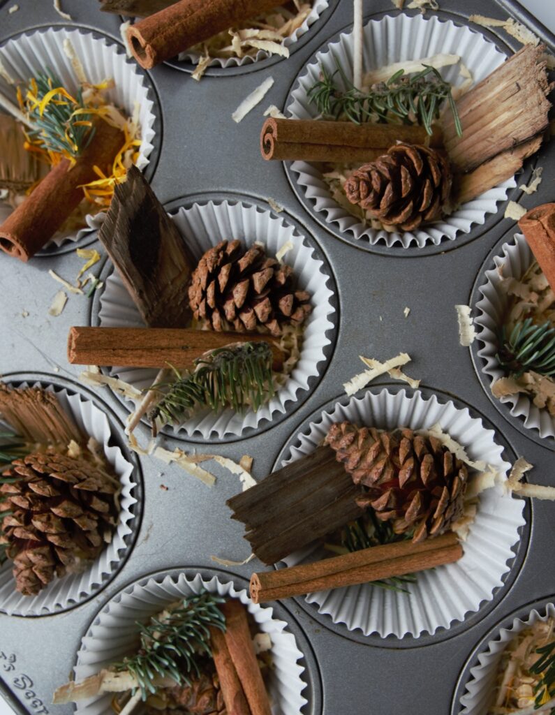 pinecones in muffin tins