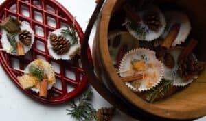 wax DIY fire starters