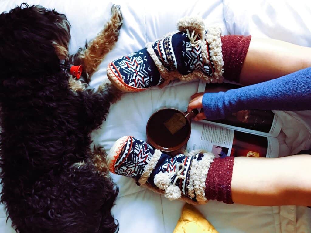 slippers and a dog