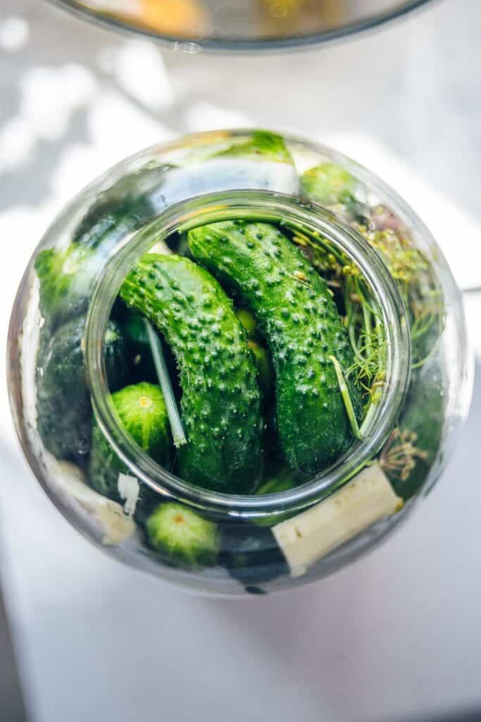 top of the pickle jar