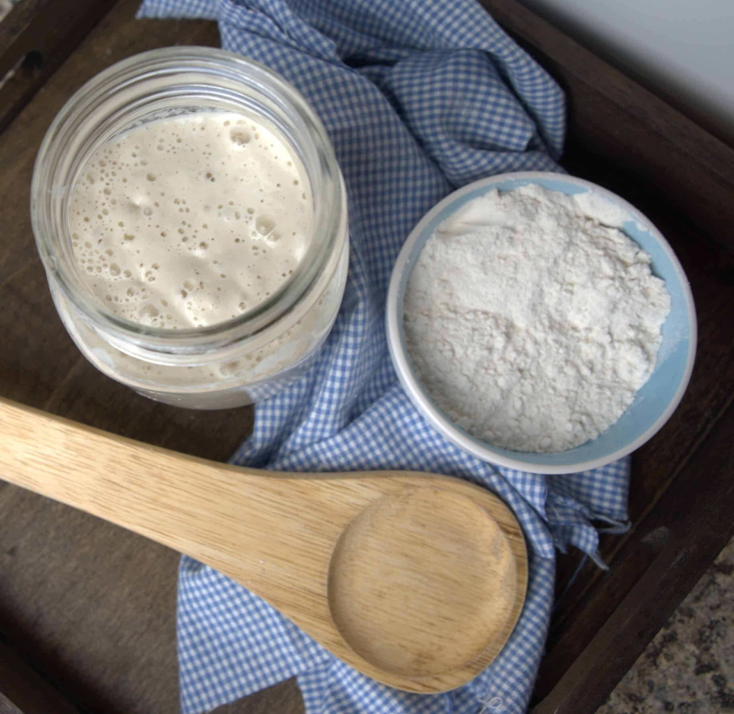 sourdough starter