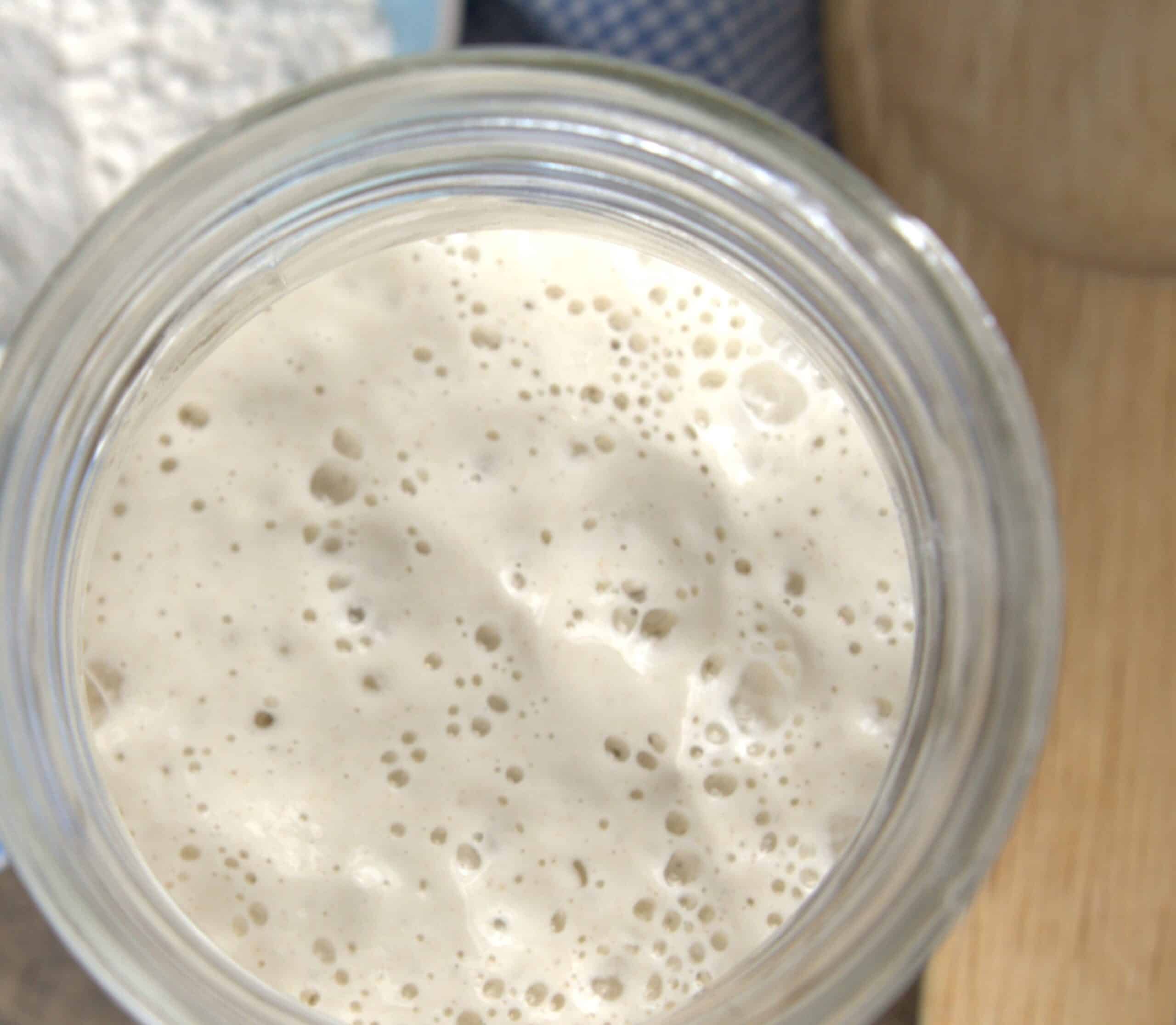 Close up of bubbly sourdough starter