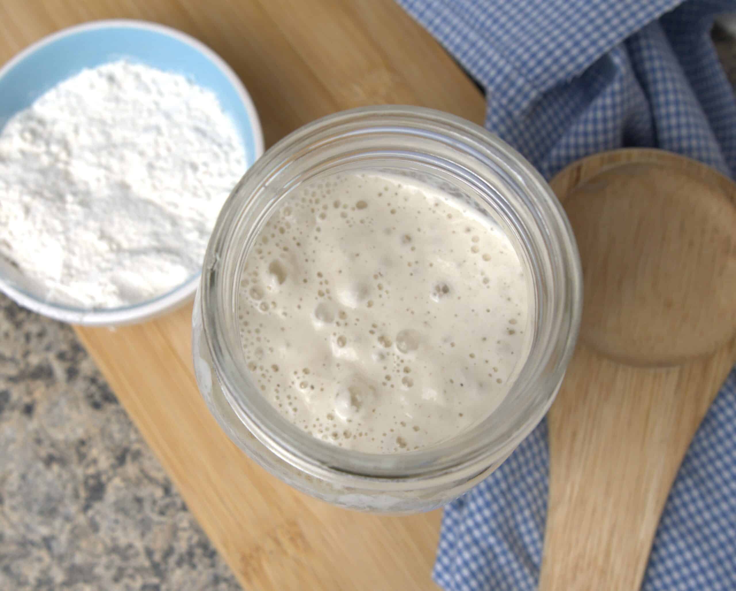 bubbly sourdough starter with flour