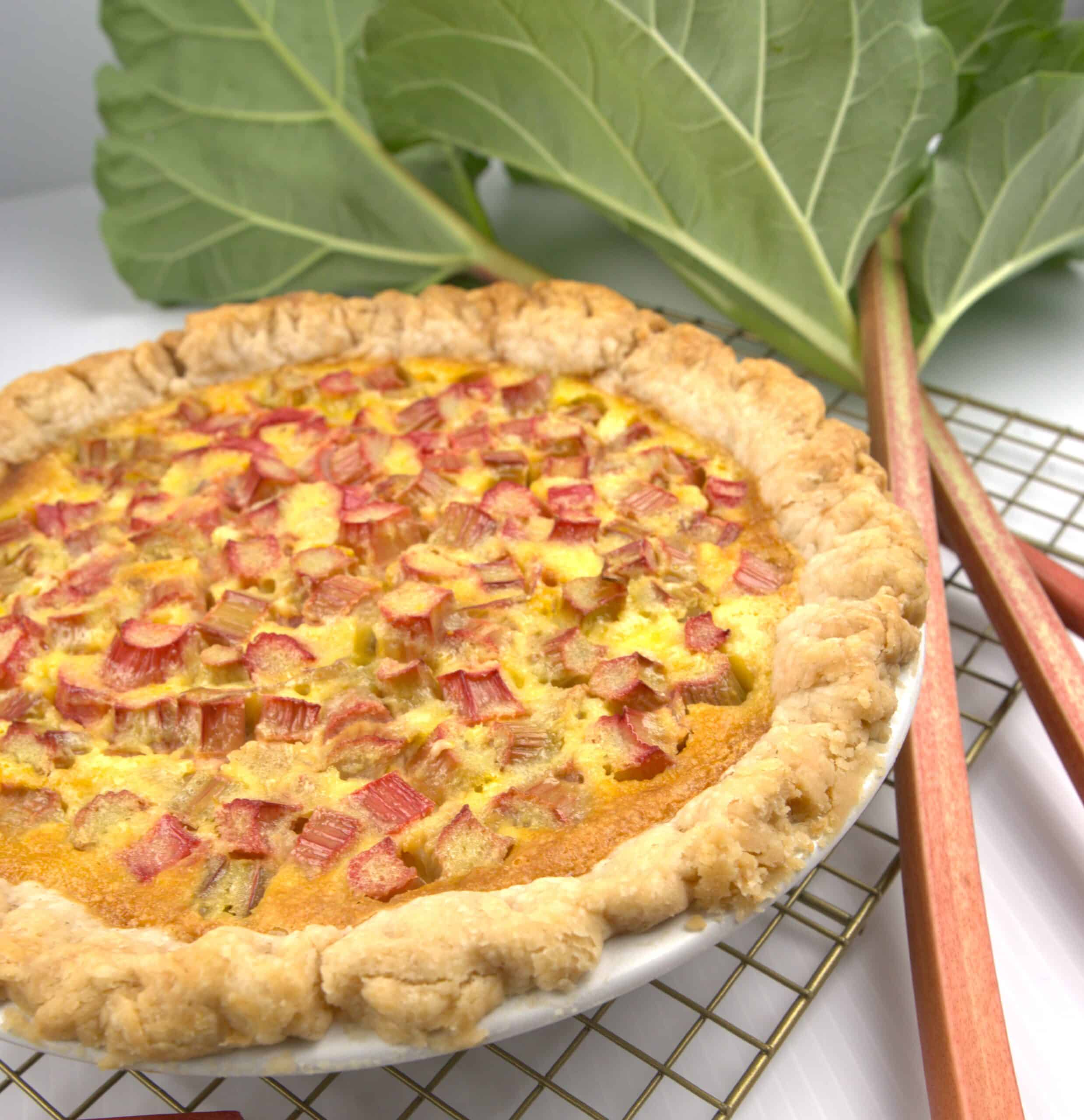 rhubarb custard pie