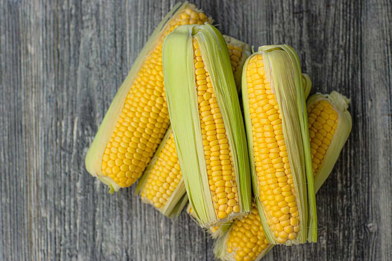 How to Freeze Corn