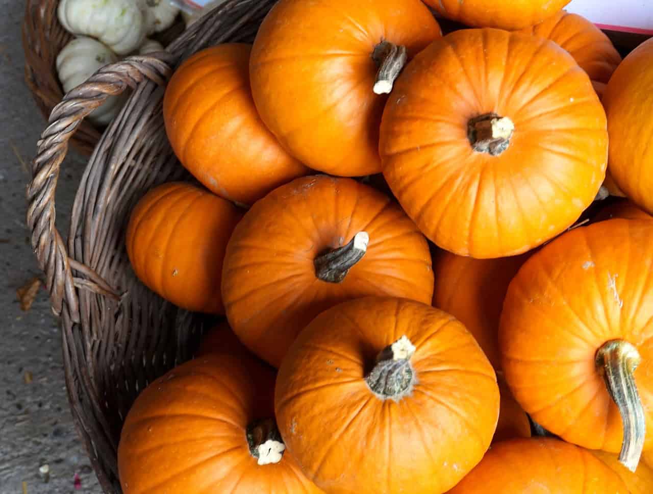 10 Things to do with your Leftover Pumpkins