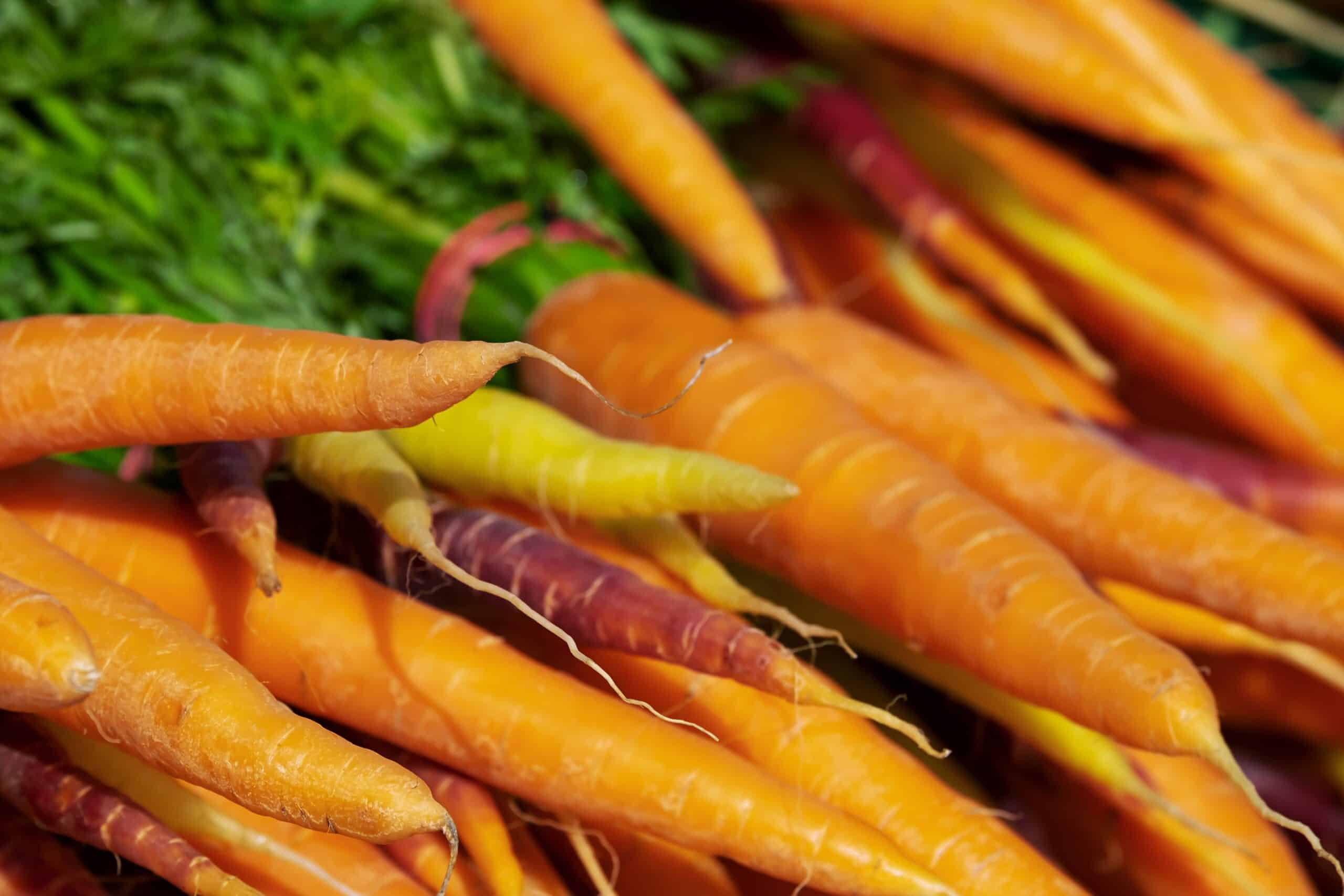 The 30-Day Homestead Challenge