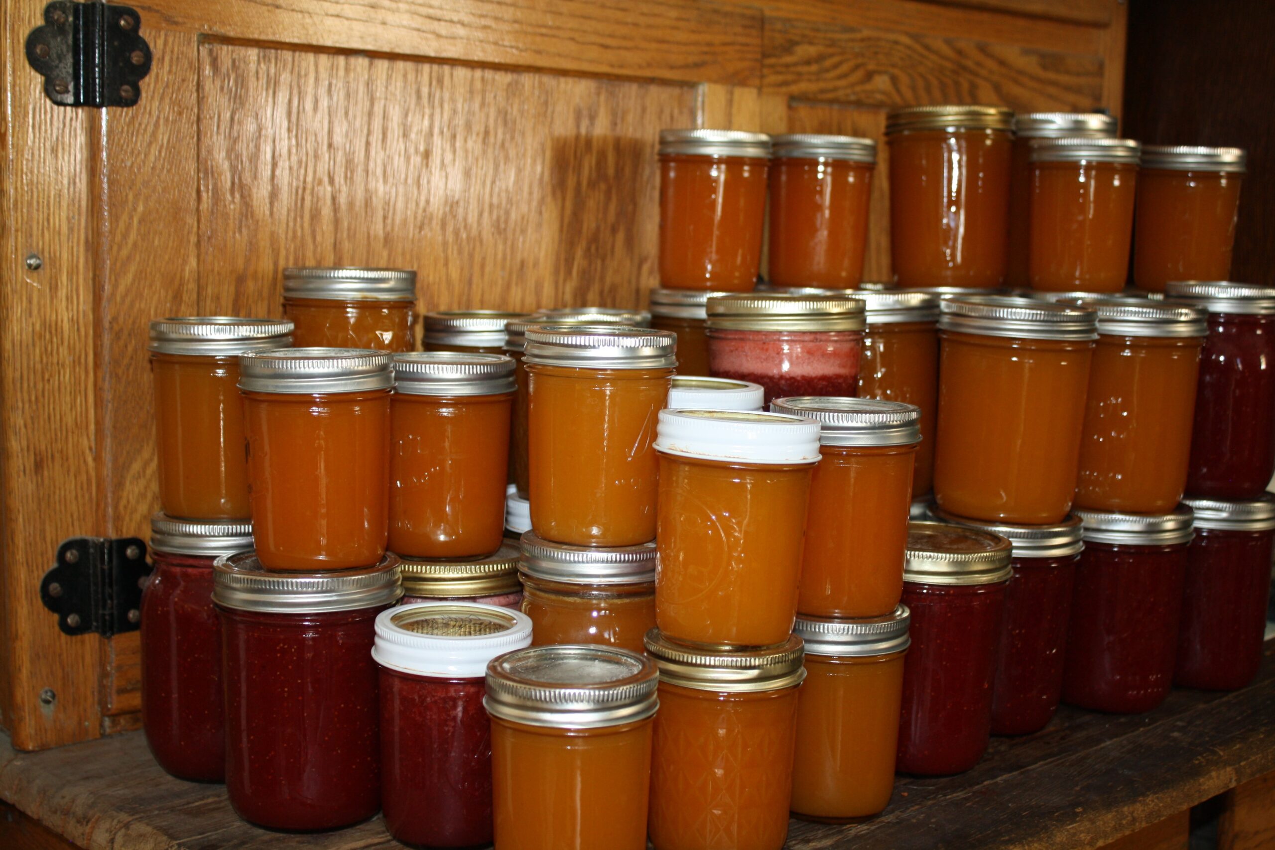 How to Start Preserving Food at Home (Even If You’re on a Tight Budget)